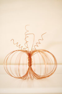 Decorative wife-frame pumpkin