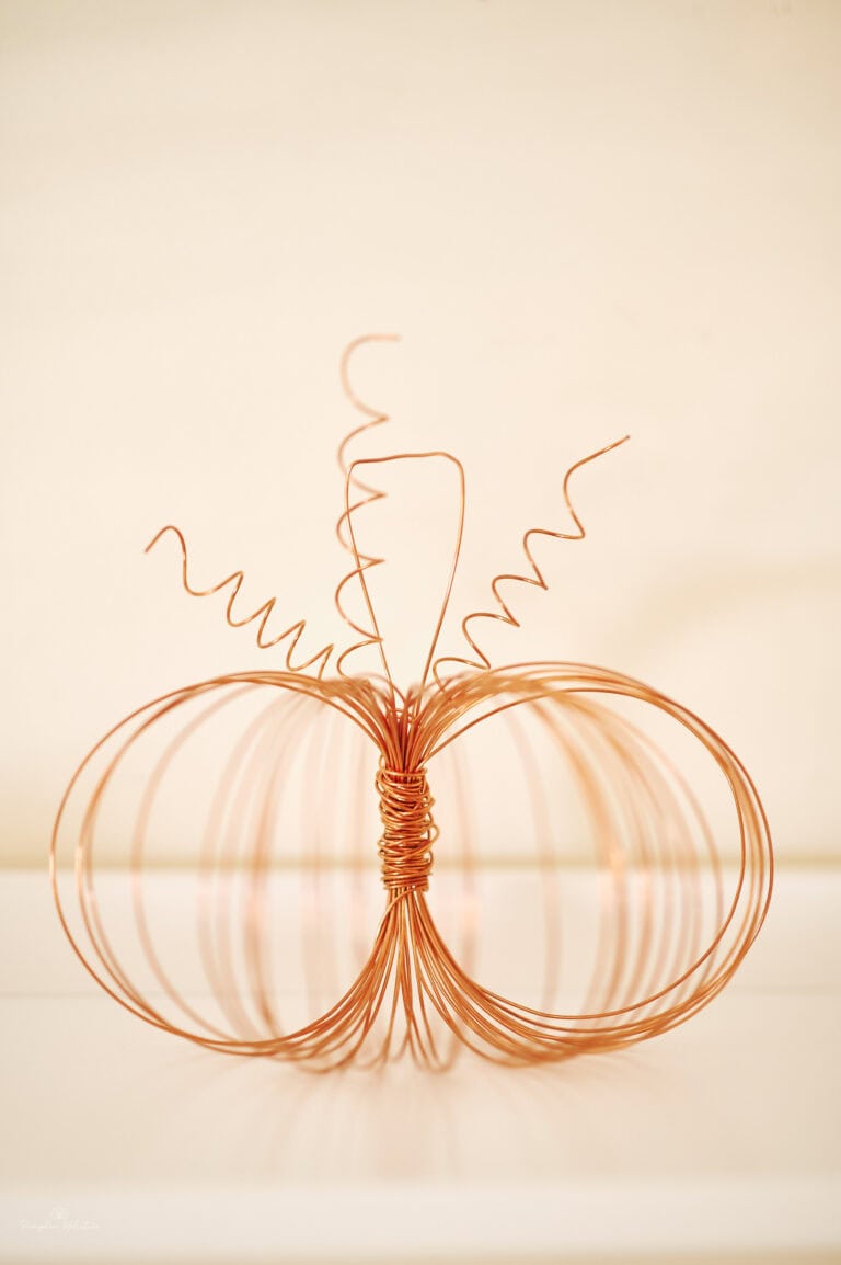 Decorative wife-frame pumpkin