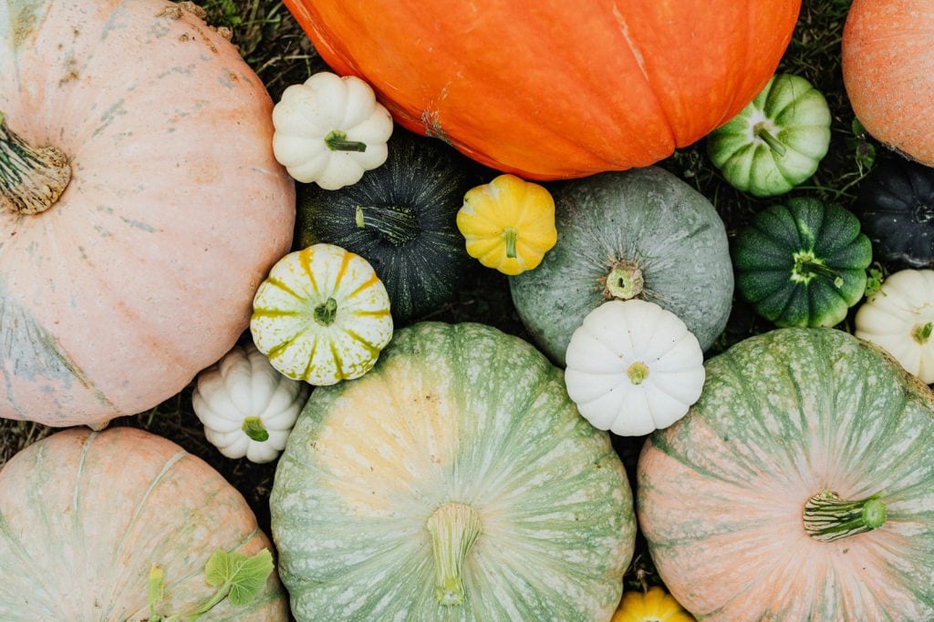 A collection of pumpkins in varying sizes and colours